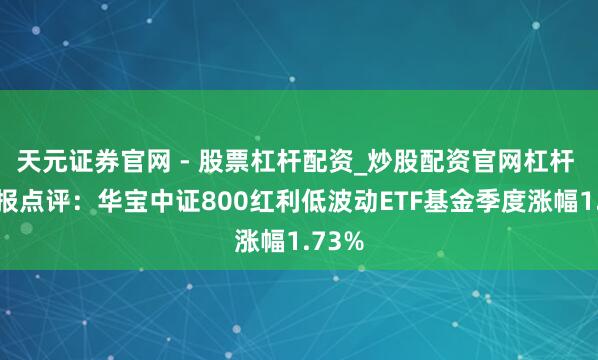 天元证券官网 - 股票杠杆配资_炒股配资官网杠杆 四季报点评：华宝中证800红利低波动ETF基金季度涨幅1.73%